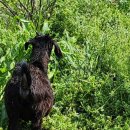 약산농장 이미지