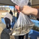 아이와 함께 즐기기 좋은 청평 설빙 송어빙어축제 후기 정보