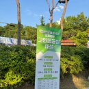 문시초등학교 | 2026 oh! 해피 장미 빛 축제 재방문 관람기 <시민기자단 연미애>