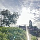 꽃길만 걷장 이미지