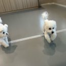 옐레드 부천상동점 이미지