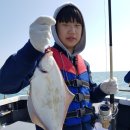 뽑아가즈아 이미지