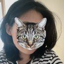 어낵(a knack) | 성수 미용실 어낵 (A KNACK)테슬컷 후기