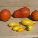 한상태농장 이미지