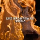 요리퍼포먼스 포포아저씨 | 판교 대장동 맛집 테판하우스 내돈내산 후기 화려한 불꽃의 분당 철판요리 런치