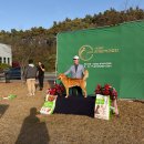 강화애견훈련학교 이미지