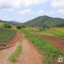 닥실마을 이미지