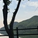 스완흑염소 이미지