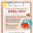 토마토화장품 네이버블로그