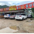 조개바다 이미지