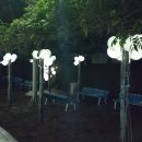 인덕장식 이미지