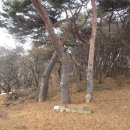 연우자동차공업사 이미지