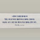 (주)봄봄 이미지