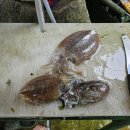 신성펜션 이미지