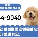 한별 도그파크 이미지