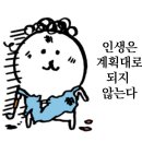[ 도쿄시즌 2 ] 반년만에 마무리 한 8박 9일 일본여행 8 - 9일차