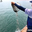 남해수산 16-1 이미지