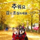 인 이미지