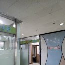 월드스크린 네이버블로그