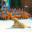 마루유치원 이미지