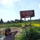 효자 오백주 정문 이미지