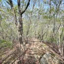 웅석봉초록길 | [205] 지리산 조망 좋은 산청 웅석봉, 내리저수지 원점회귀