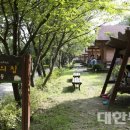 키즈페스티벌 - 샌드아트 이미지