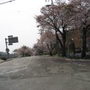 구룡포 초등학교 이미지