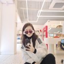 썬울타리 이미지