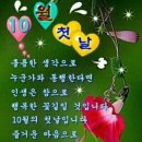 872 이미지