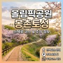 문화광장진입도로 황금개나리길 | 올림픽공원 몽촌토성 산책로 코스와 주차 정보