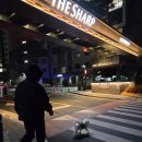 직산-13 | [천안] 가족외식으로 가기 좋은 직산 "원닭갈비"