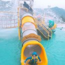 상주 감꽃마을 서울캠핑장 이미지