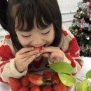 참솔영농조합 이미지