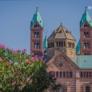 하얀나무펜션 이미지