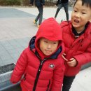 코끼리자연어린이집 이미지