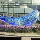 시장식당 | 260321_노량진 수산시장 진주식당 방문후기