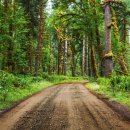 아이렌트카 이미지