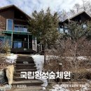 산동참생태숲 유아숲 화장실 | 국립횡성숲체원 겨울 숲캉스 가성비 숙소 식사 산책 후기