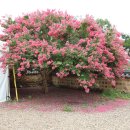 신숭겸장군유적지 이미지