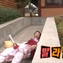 스파이스카레