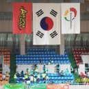 공주백마체육관 티스토리