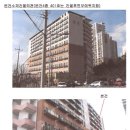 대선월드피아 이미지