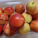 아달달농산 이미지