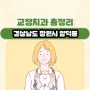 양재영치과의원 | 경상남도 창원시 양덕동 교정치과 총정리