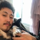 비스트로영 이미지