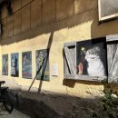 건맥스테이 이미지