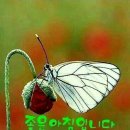 즐거운 이미지