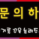 착한애견 네이버블로그