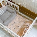 라라랜드 애견 펜션 이미지